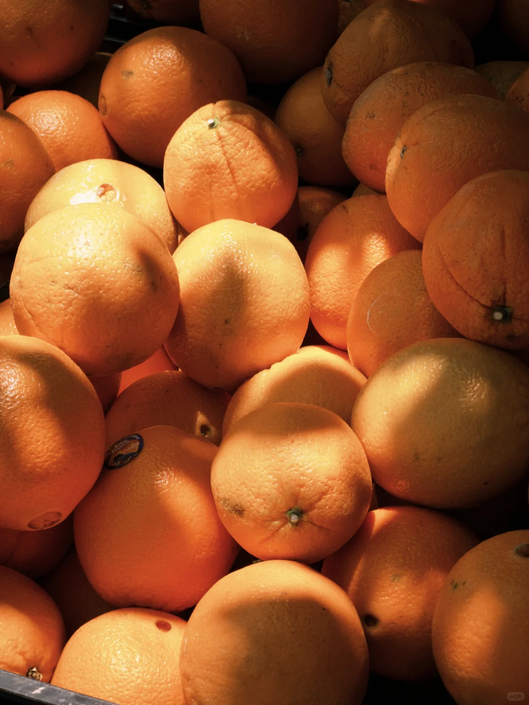 🍊California. 盛夏, 艳阳, 海岸, 甜橙。