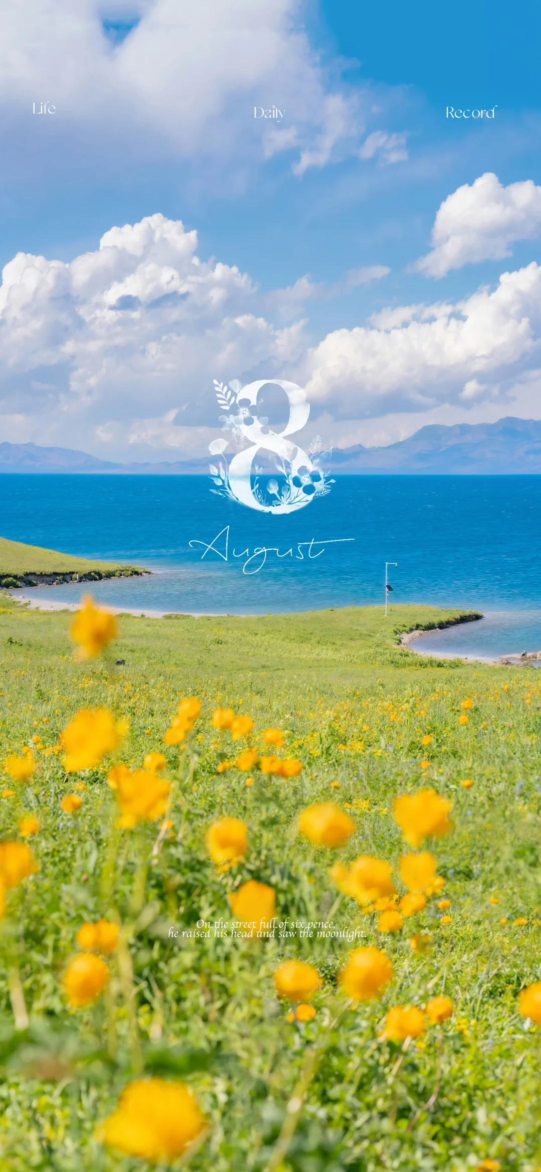 【日历壁纸】珍视当下每一刻