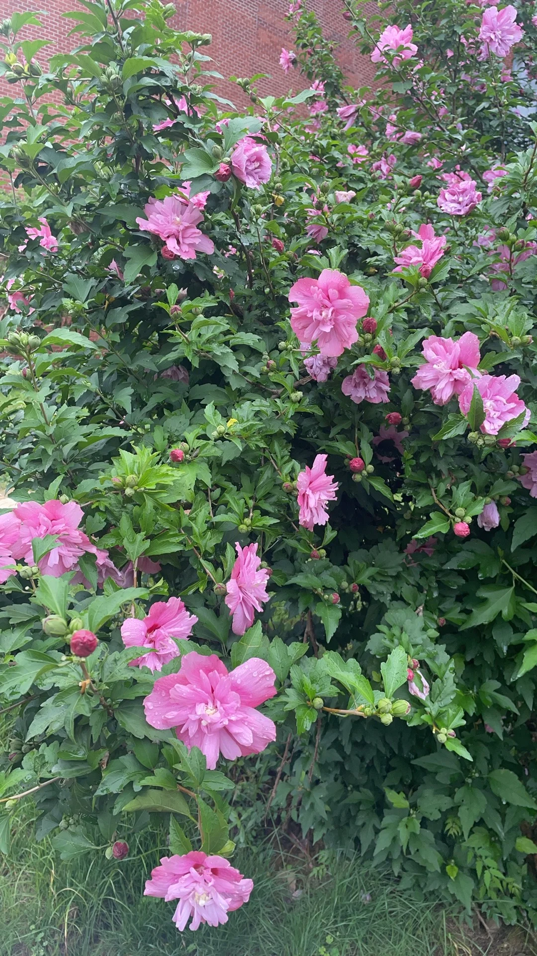 今日摄入2350大卡