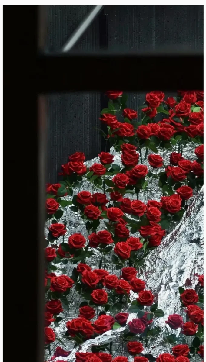 浪漫鲜花壁纸