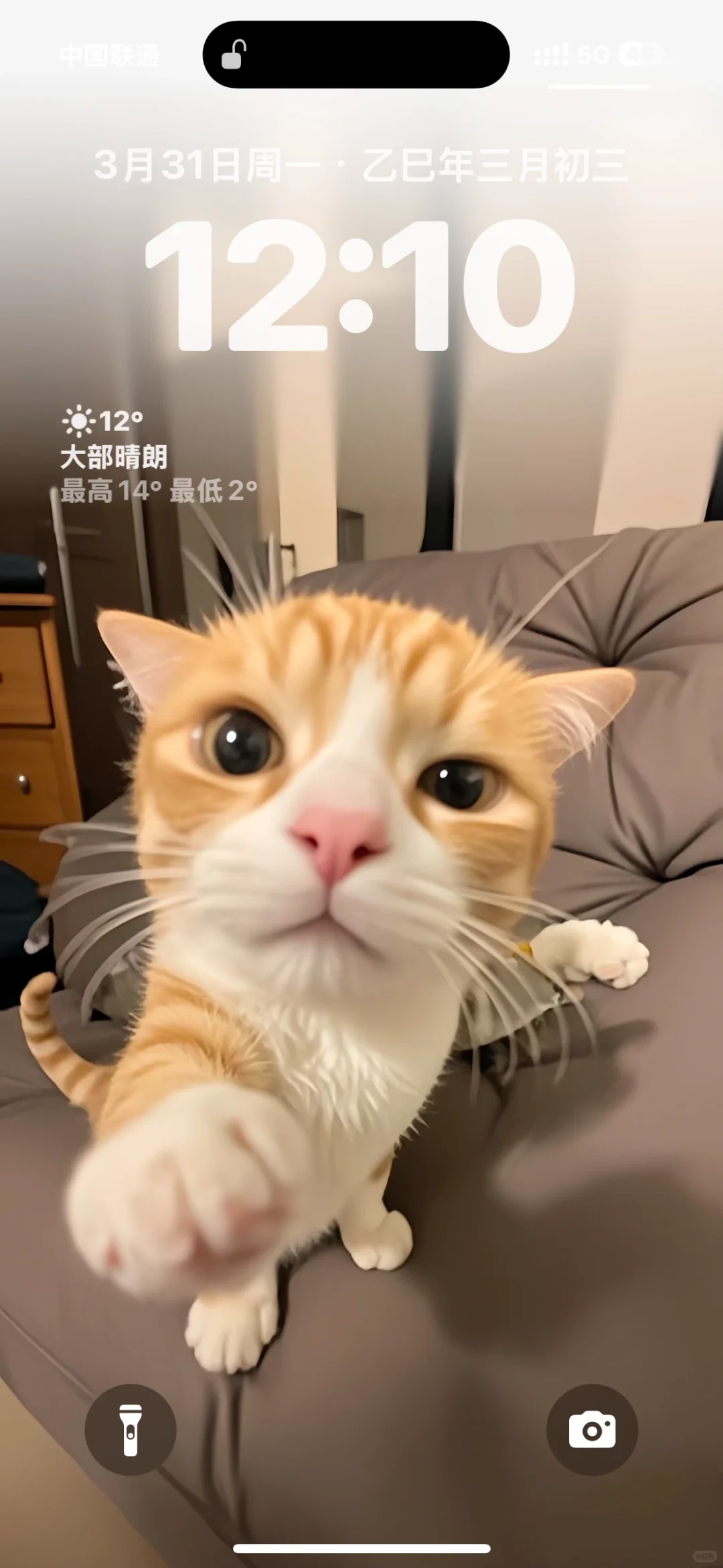 谁给我馒头谁给我拳头我会记得一清二楚