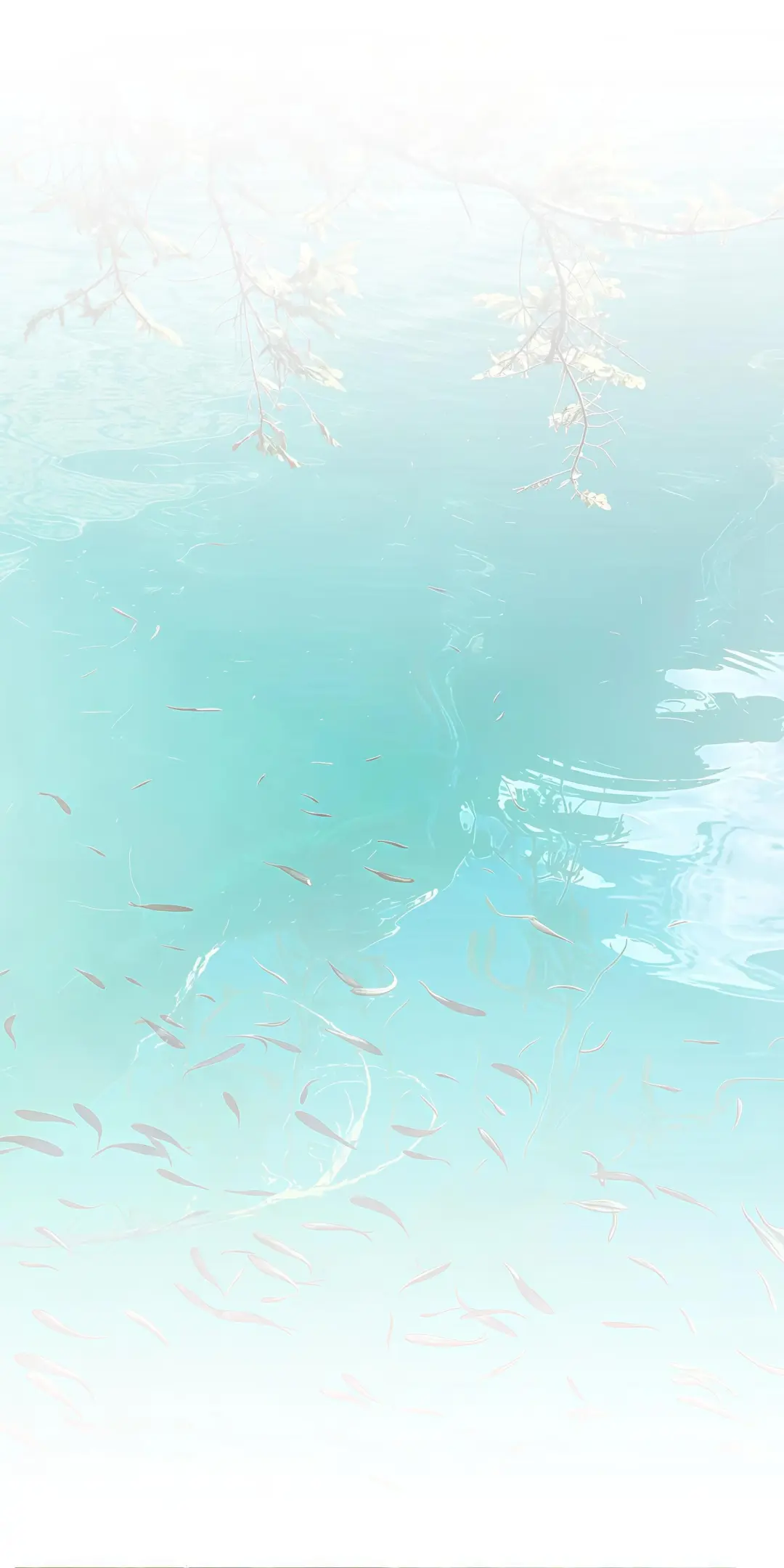 一组冷淡系浅色壁纸⊹.✮₊⋆