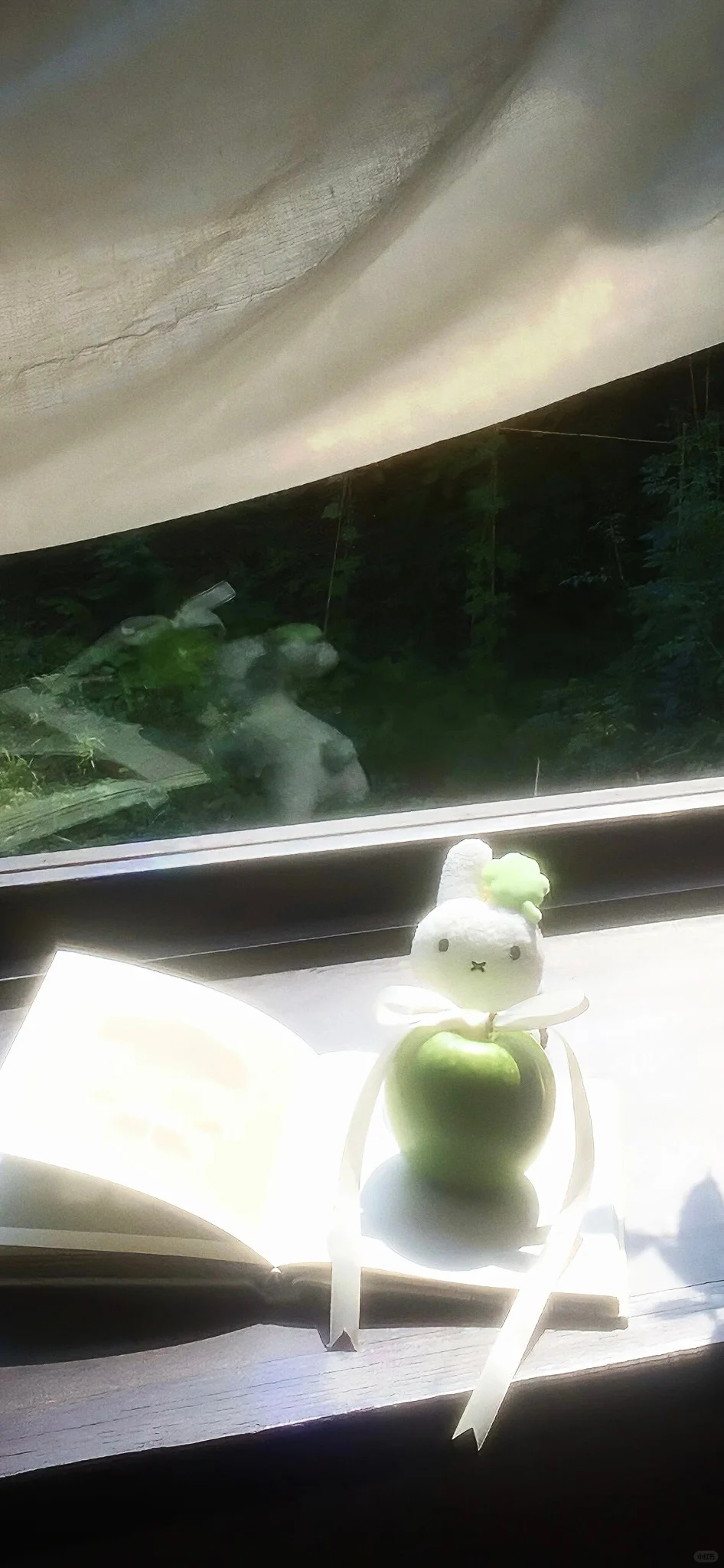 一期夏日壁纸/自截壁纸分享˶ᵒ ᵕ ˂˶ 🧼🫧🍈