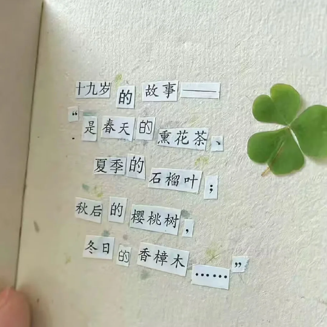 ins风|小众背景图（不用截评论区自取）