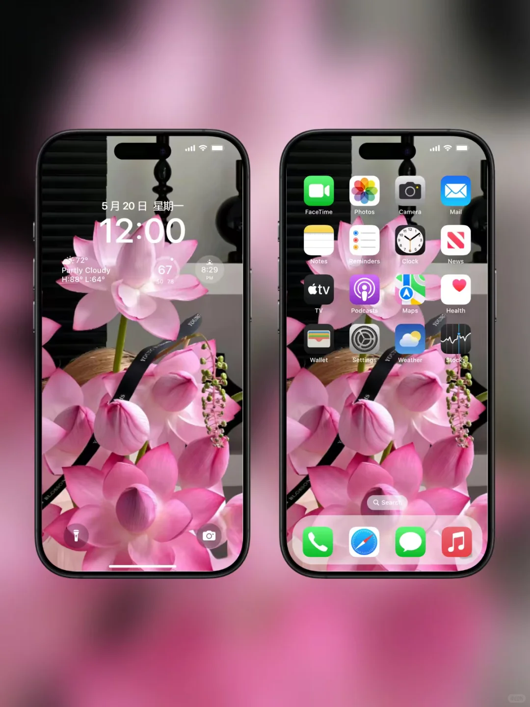 小众又高级的壁纸来了🌸