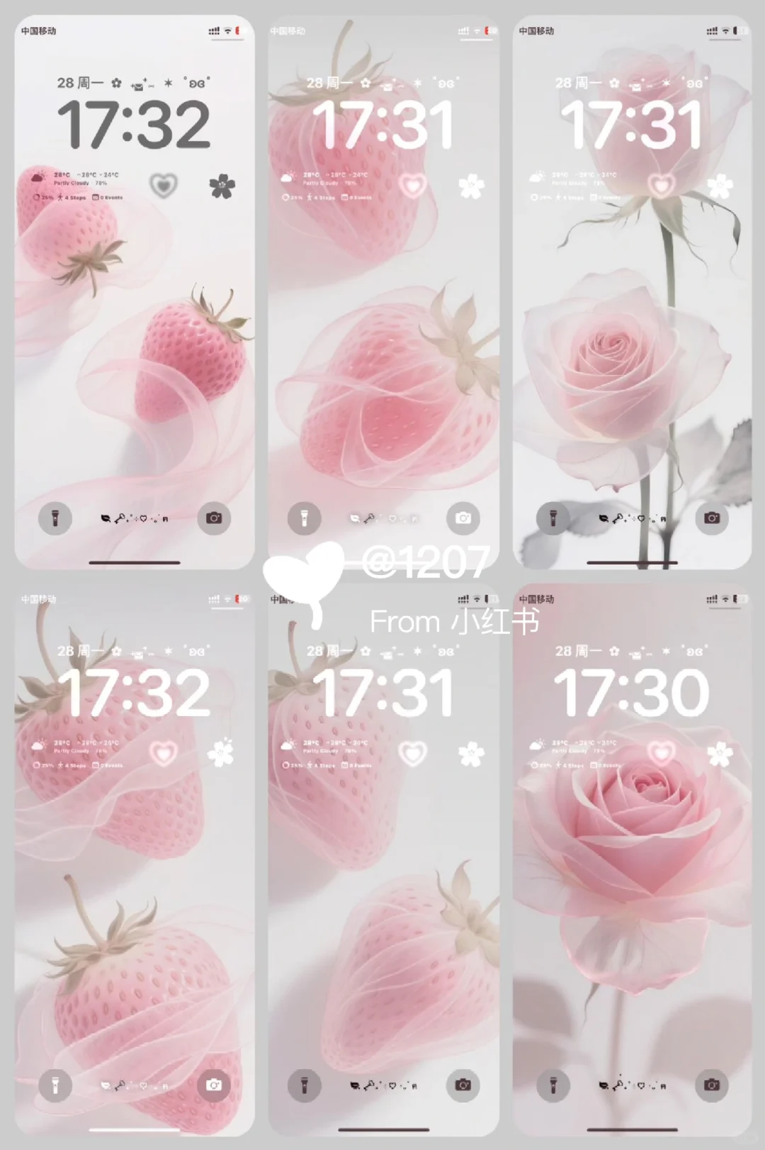 温柔的浪漫：水蜜桃玫瑰壁纸
