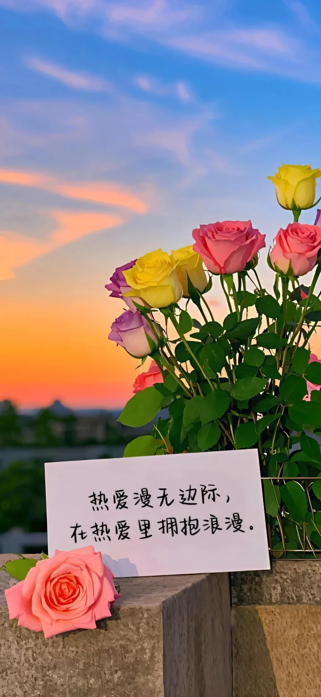 超可爱的壁纸分享！🐱🎀