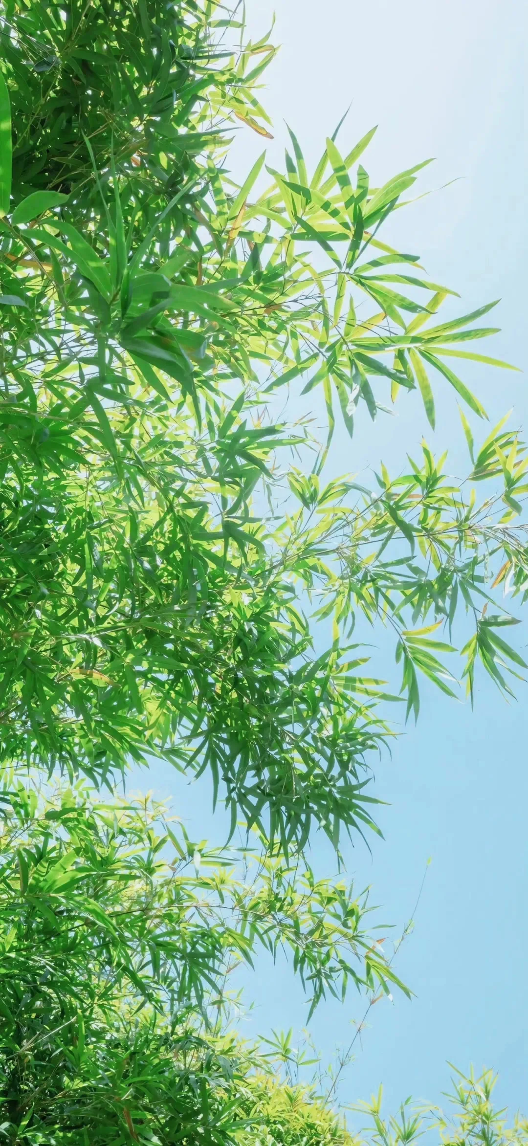 看着就凉快的壁纸
