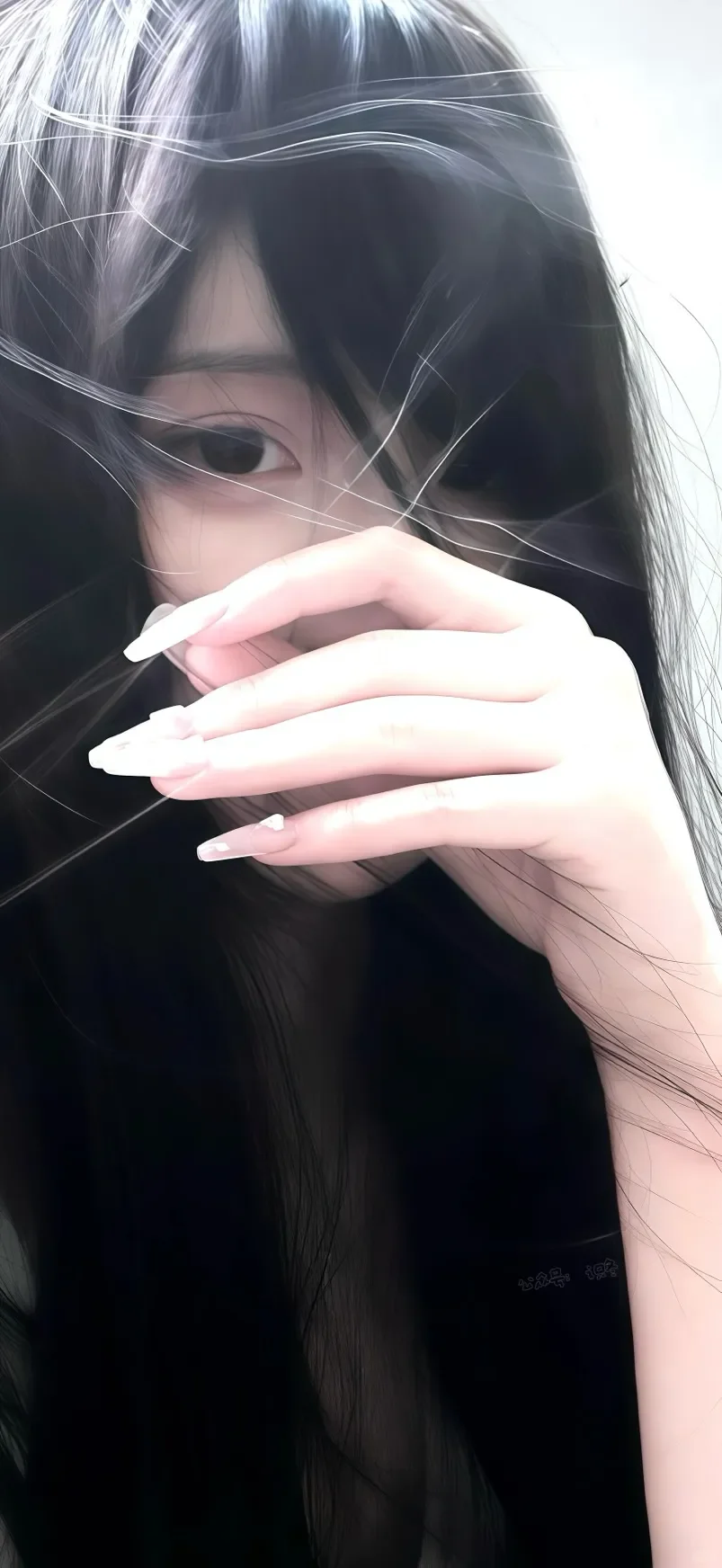 权威壁纸｜陪伴
