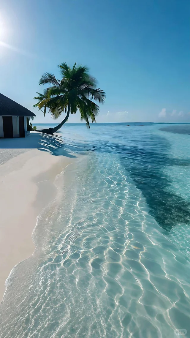被这片海滩治愈了🏝️🏝️