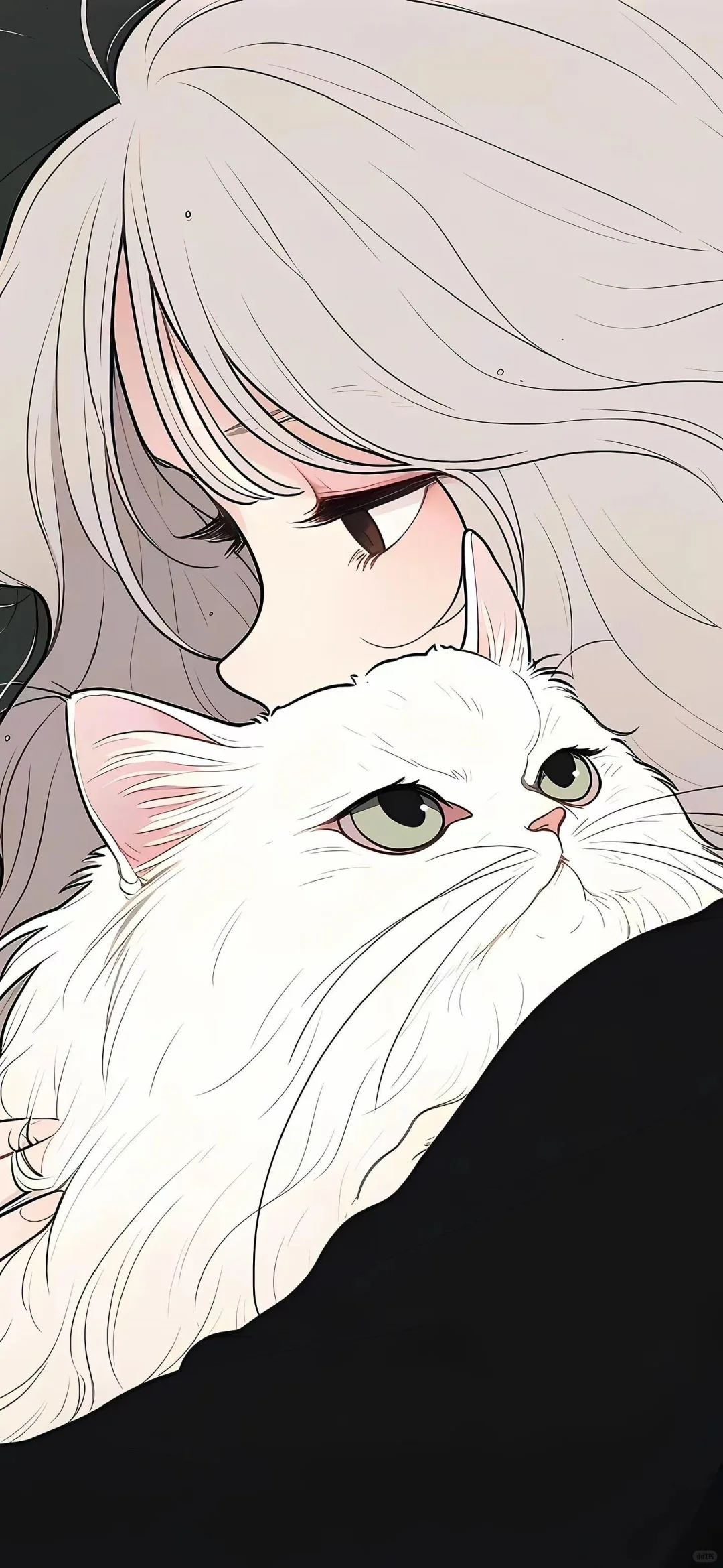 𝑺𝒉𝒂𝒓𝒆 少女和猫绝美壁纸