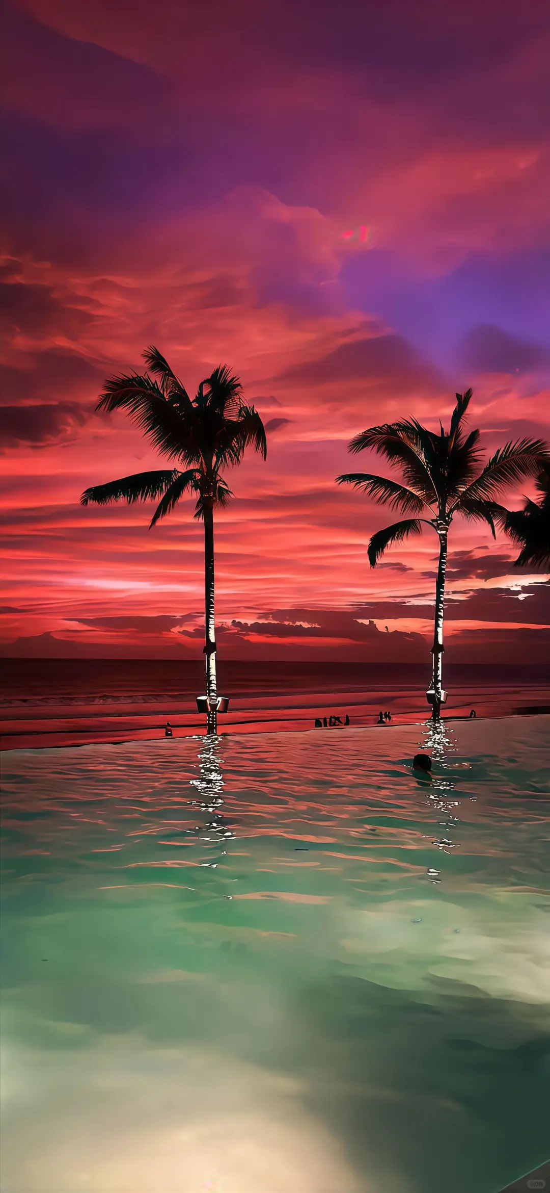 𝑺𝒉𝒂𝒓𝒆｜夏日清凉壁纸🌴
