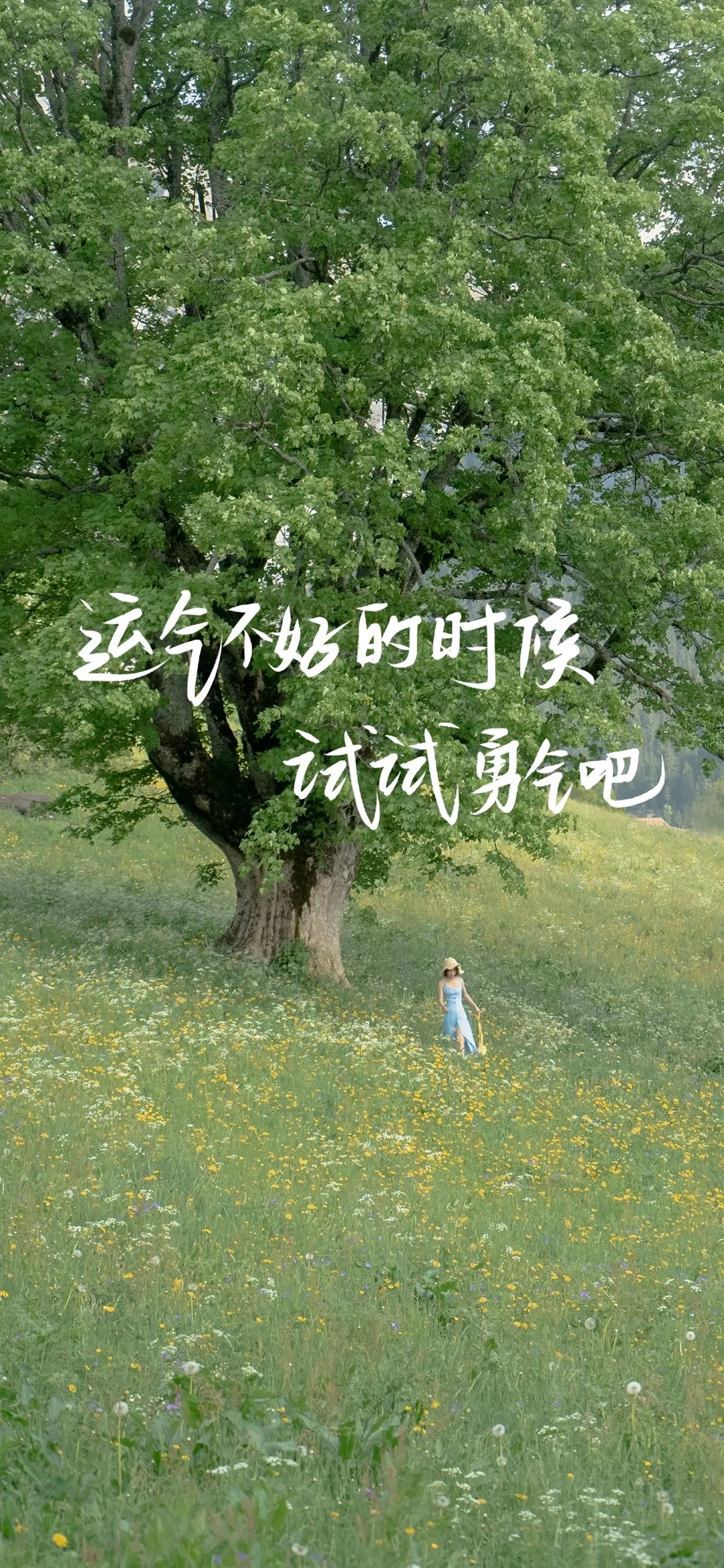 壁纸‖4K高清全面屏壁纸 自用分享