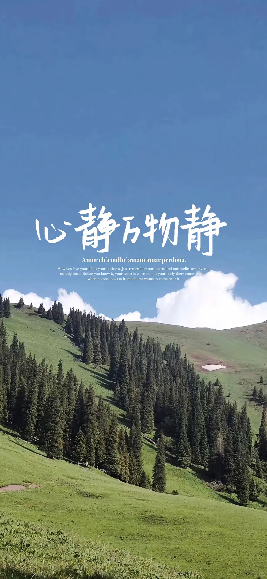 壁纸‖4K高清全面屏壁纸 自用分享
