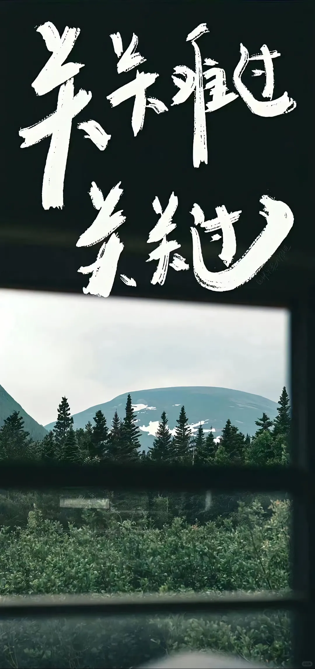 壁纸‖4K高清全面屏壁纸 自用分享