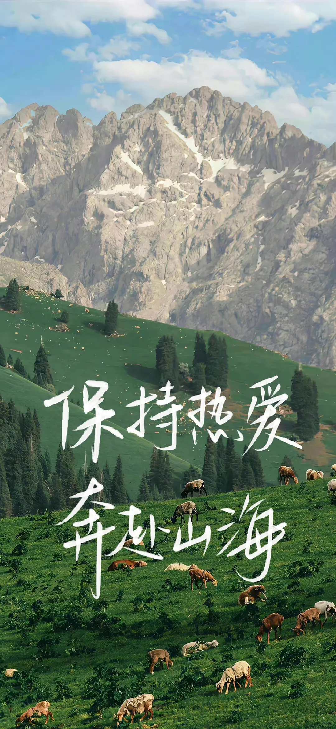 壁纸‖4K高清全面屏壁纸 自用分享