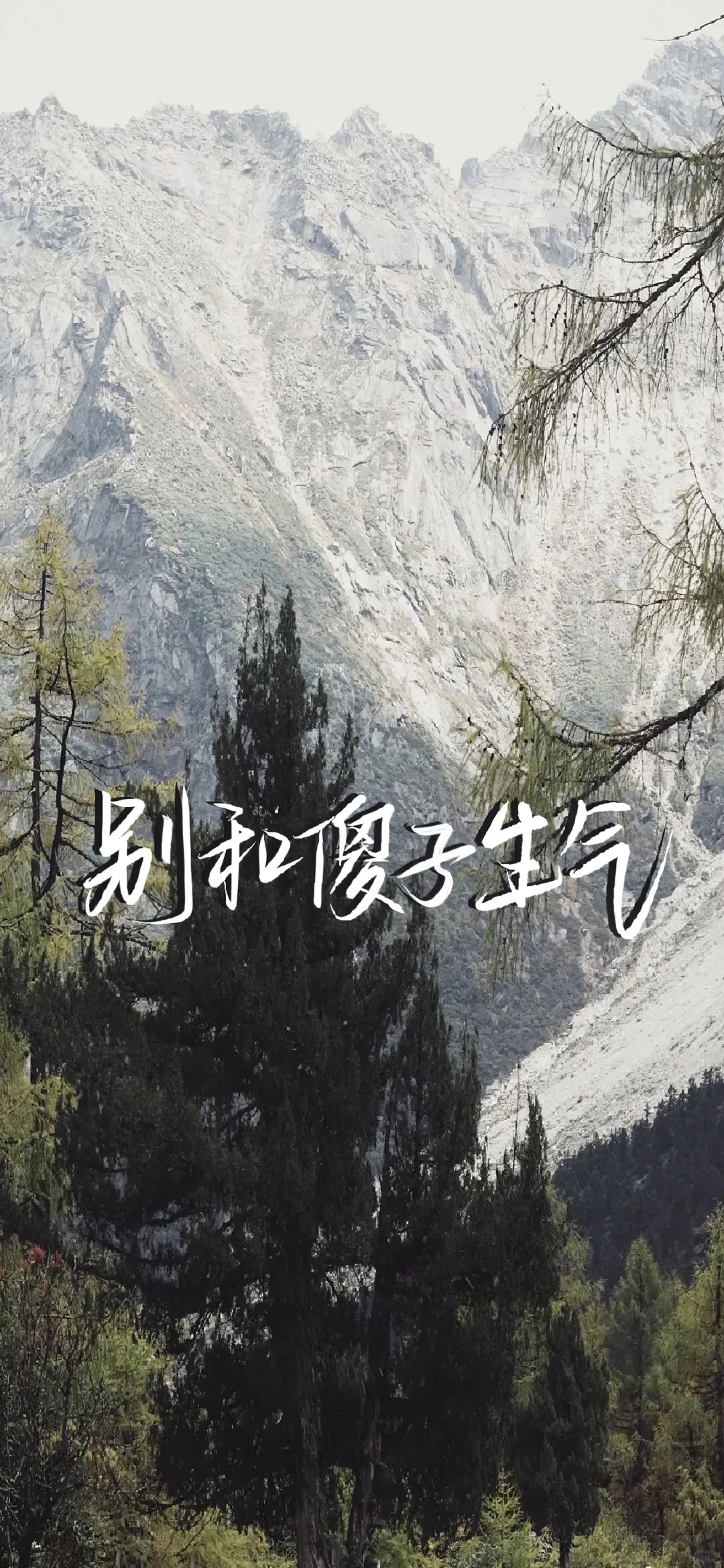 壁纸‖4K高清全面屏壁纸 自用分享