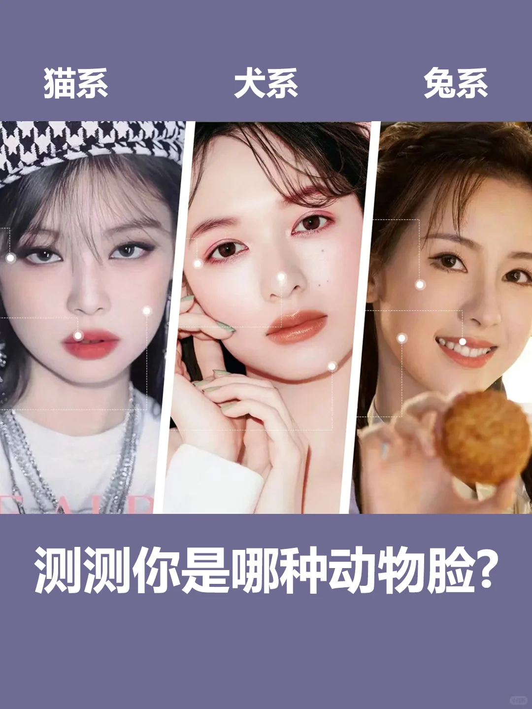 你觉得哪个更好看呢?