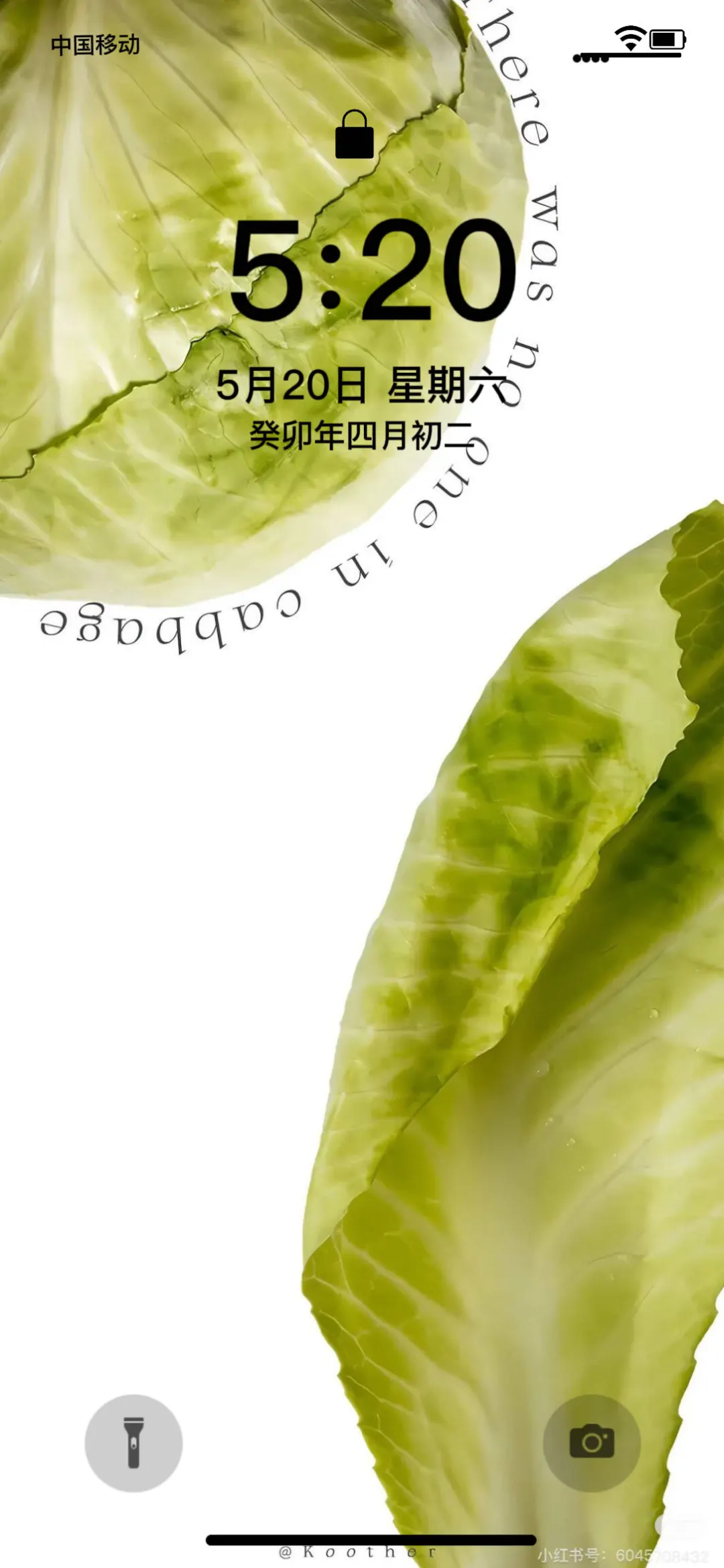 啊啊啊啊啊这个壁纸好好看！！！小众壁纸