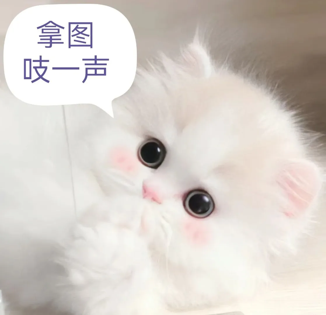 仙气飘飘的温柔女头