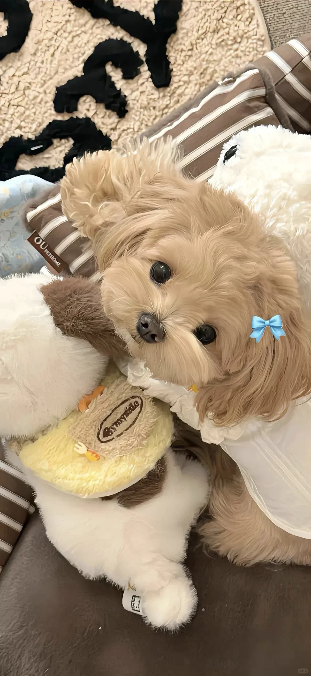 ins高级感爆棚的氛围壁纸/小众壁纸🧙‍