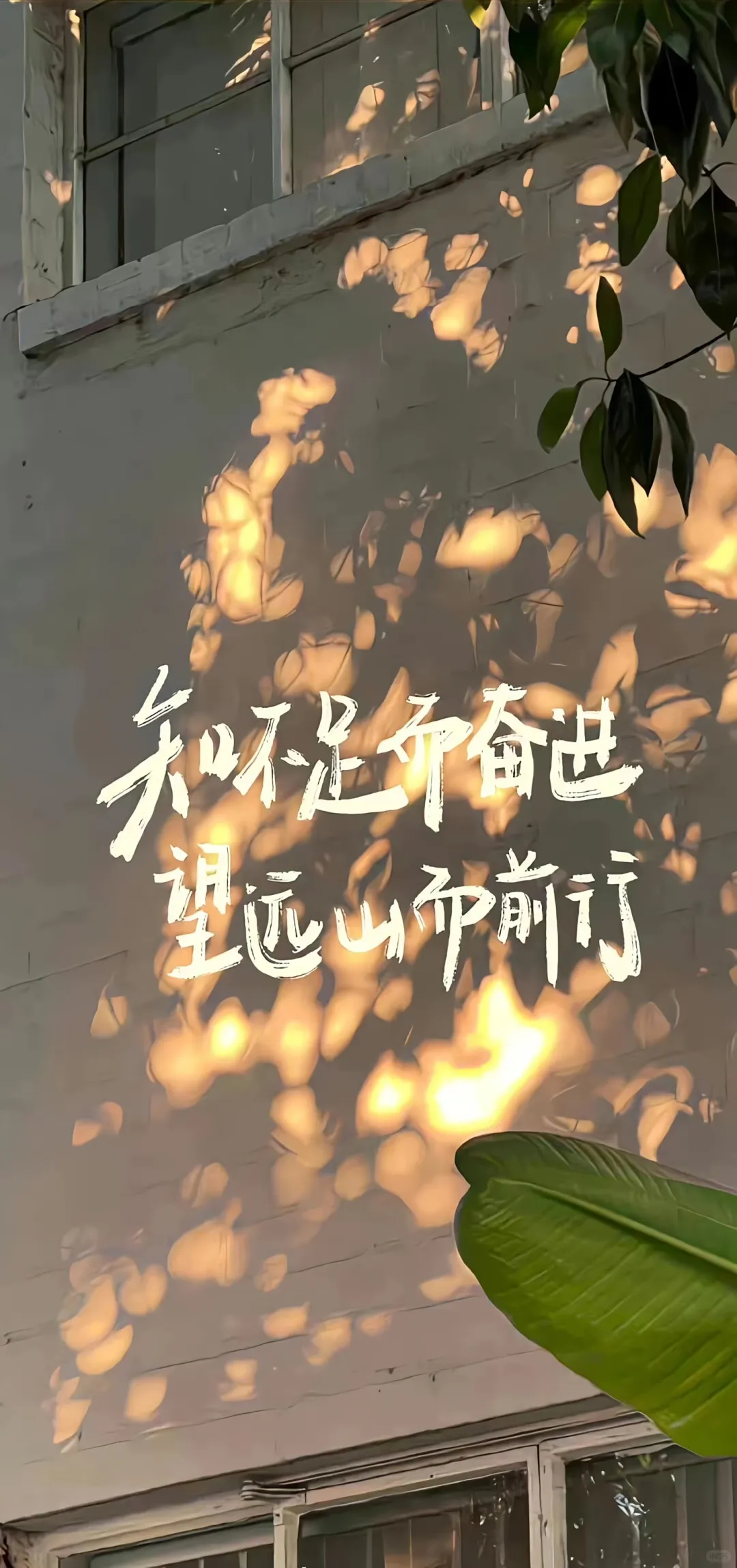 壁纸‖4K高清全面屏壁纸 自用分享