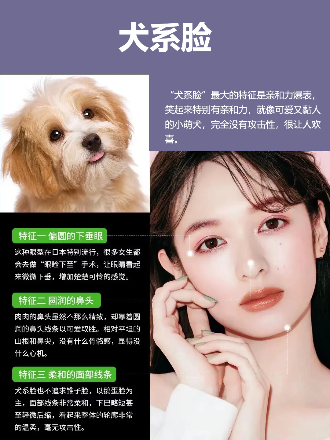 你觉得哪个更好看呢?