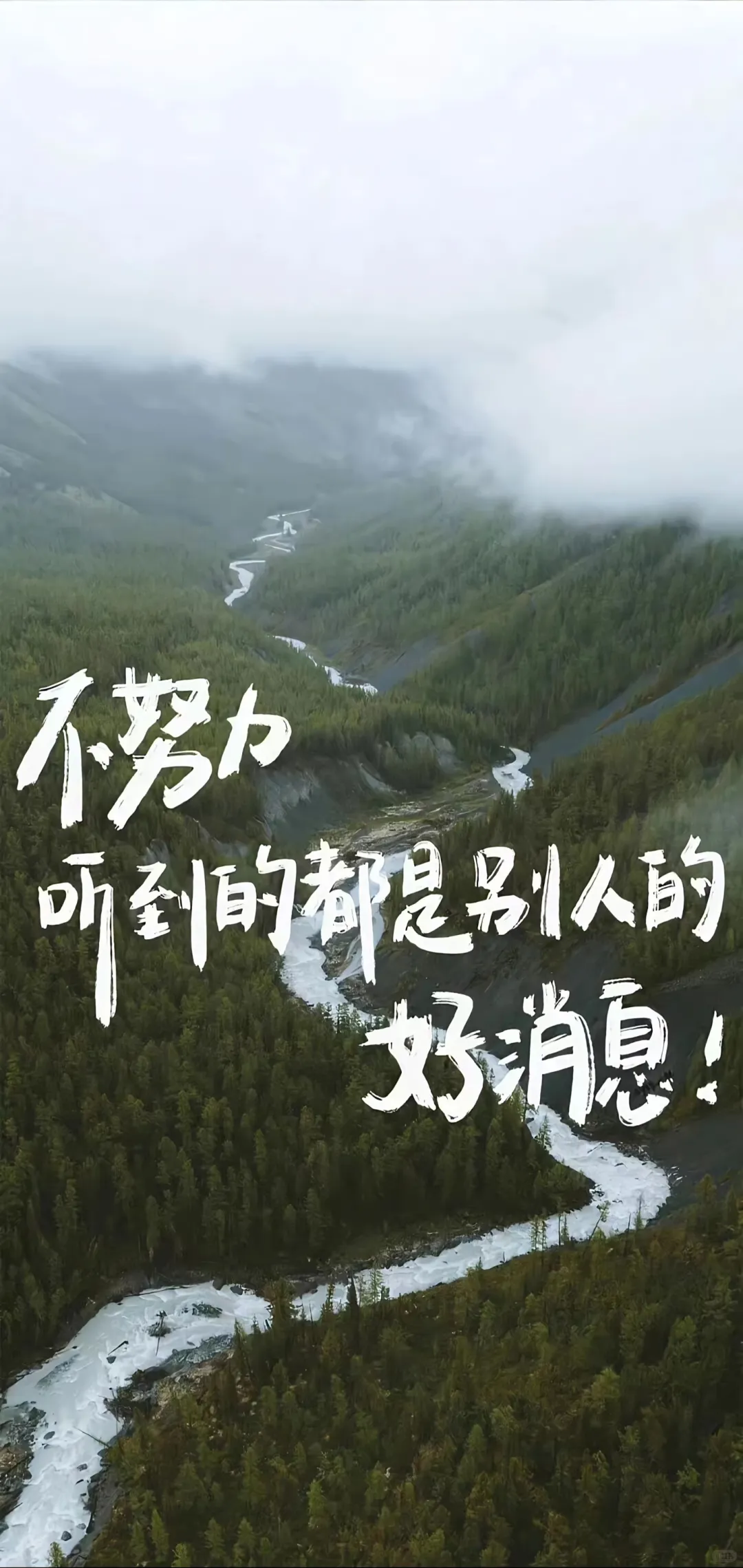 壁纸‖4K高清全面屏壁纸 自用分享