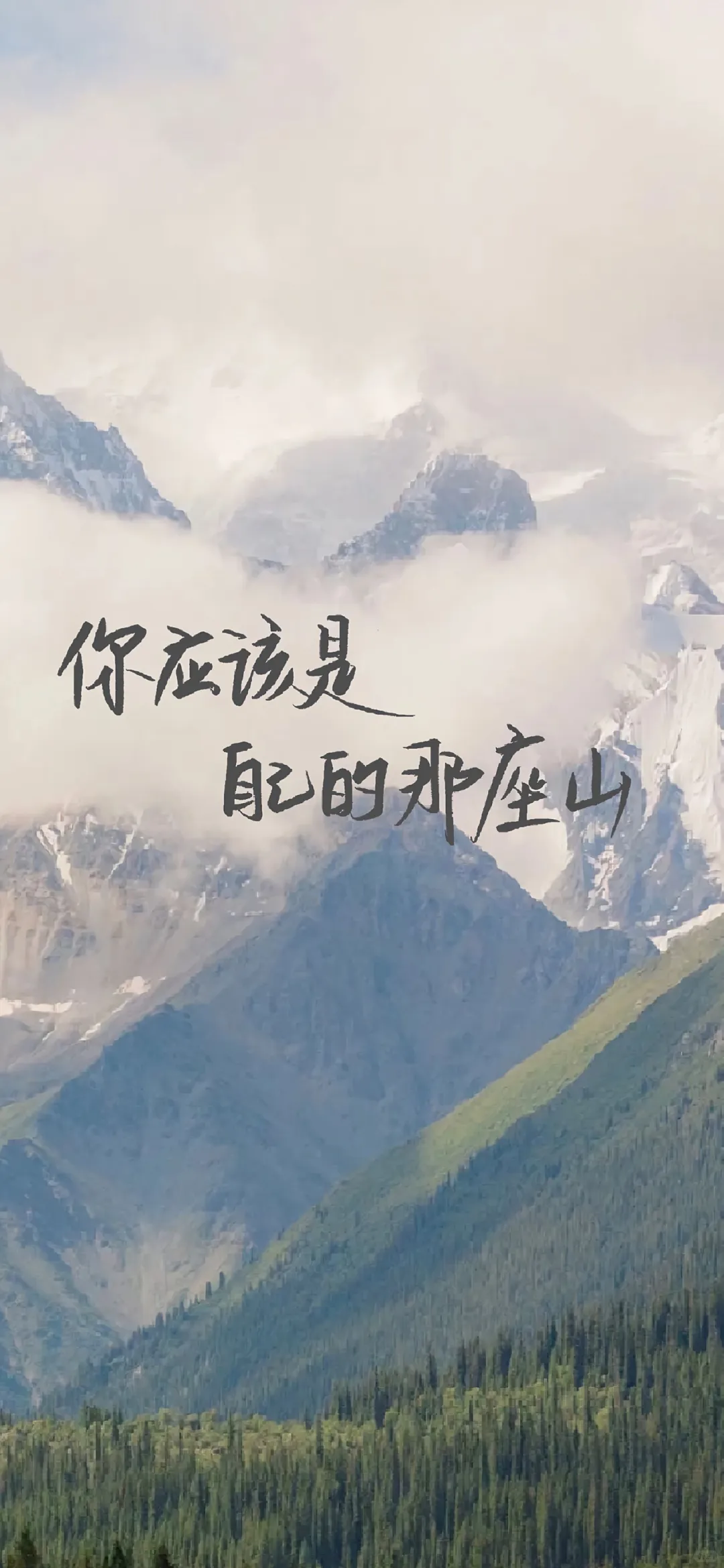 壁纸‖4K高清全面屏壁纸 自用分享