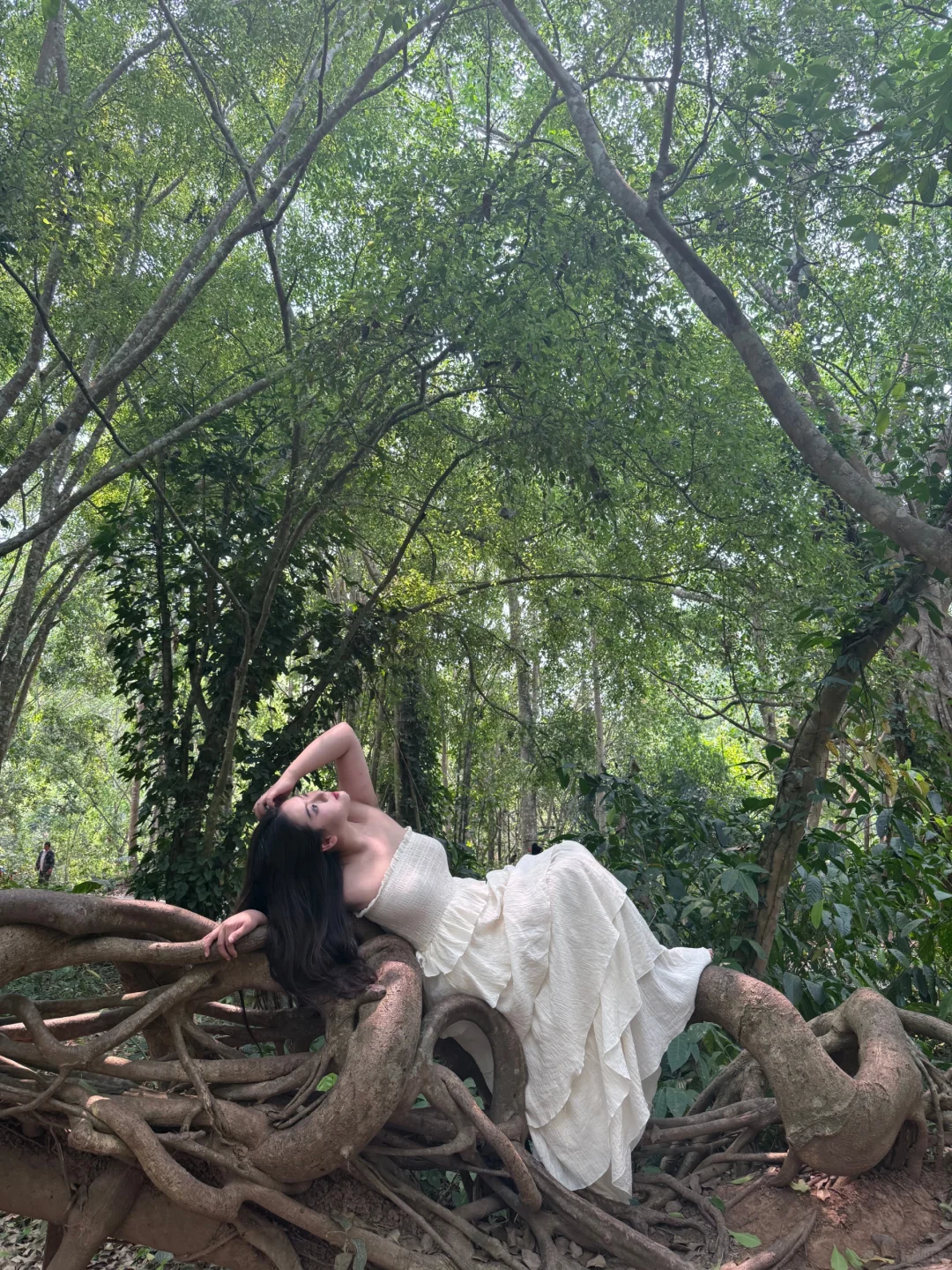 甲木女天然地爱大自然（西双版纳）