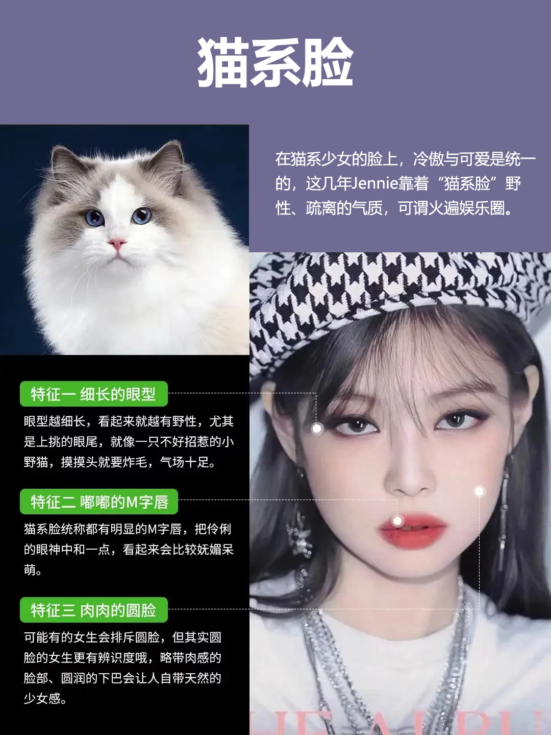 你觉得哪个更好看呢?