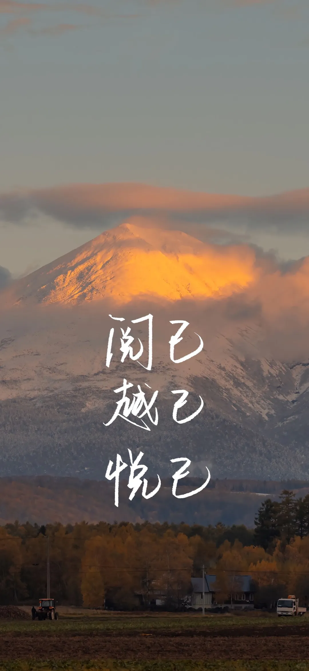 壁纸‖4K高清全面屏壁纸 自用分享
