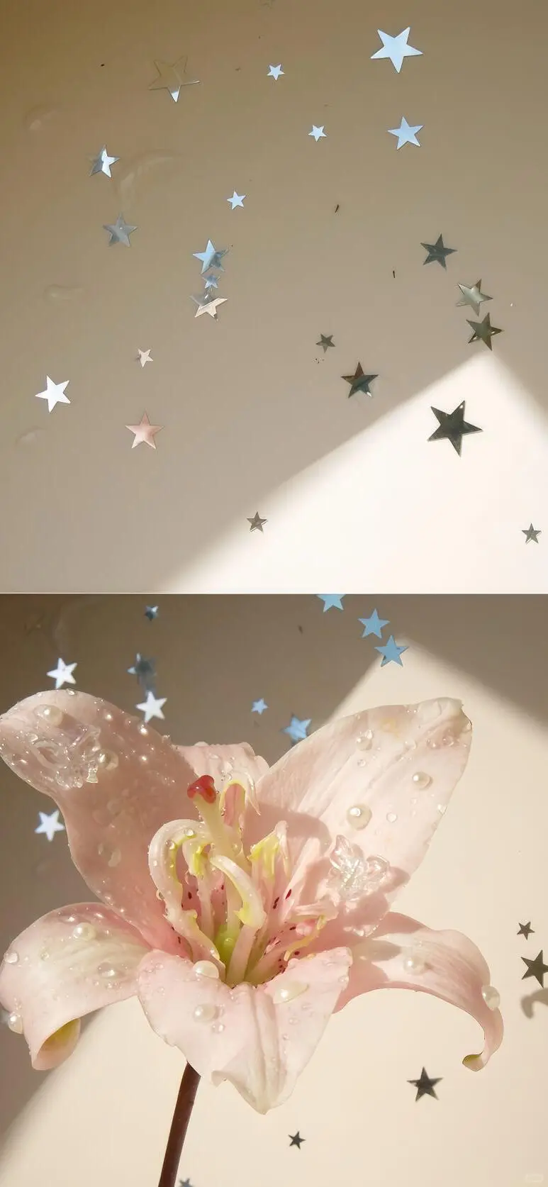 Share🦄ins风壁纸