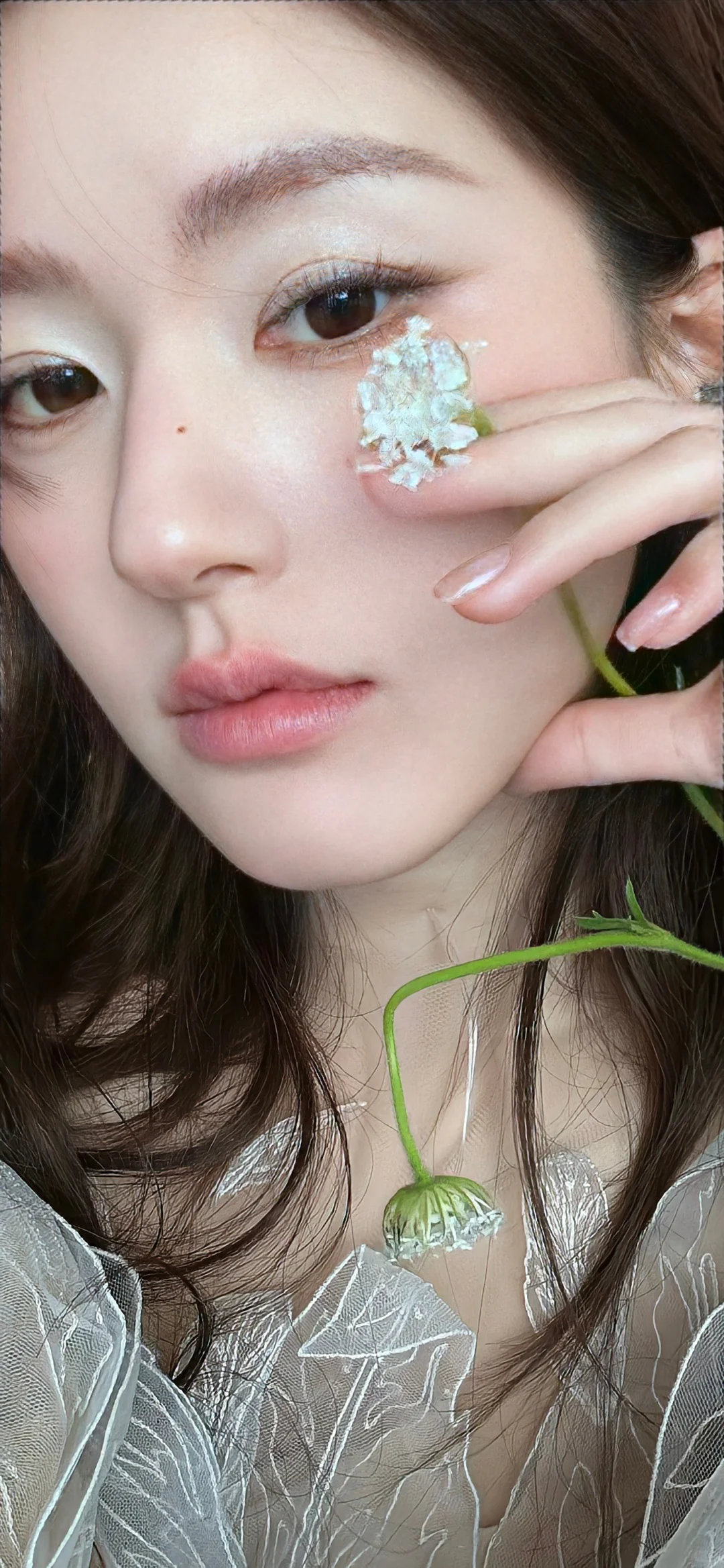 丰富下手机壁纸吧/