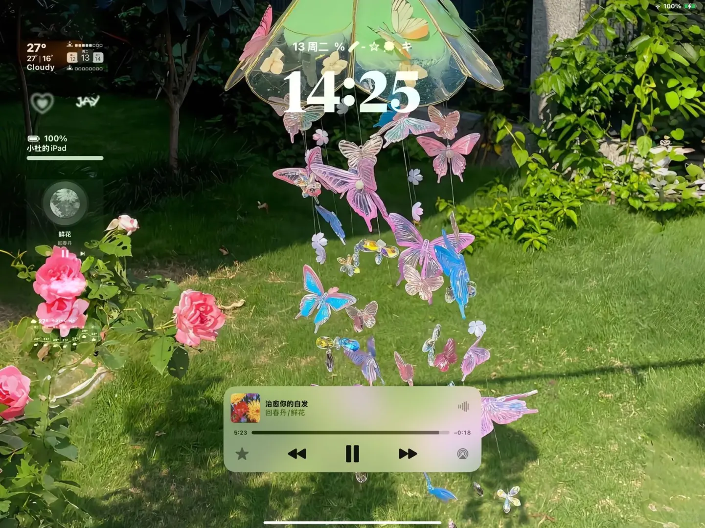 5.13iPad花海壁纸