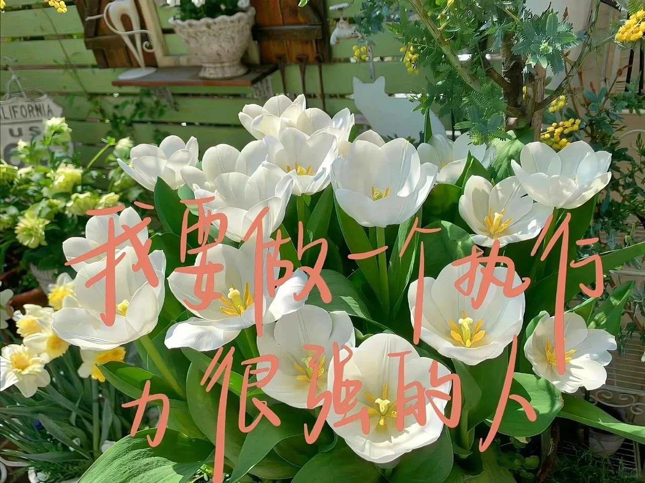 分享ipad壁纸