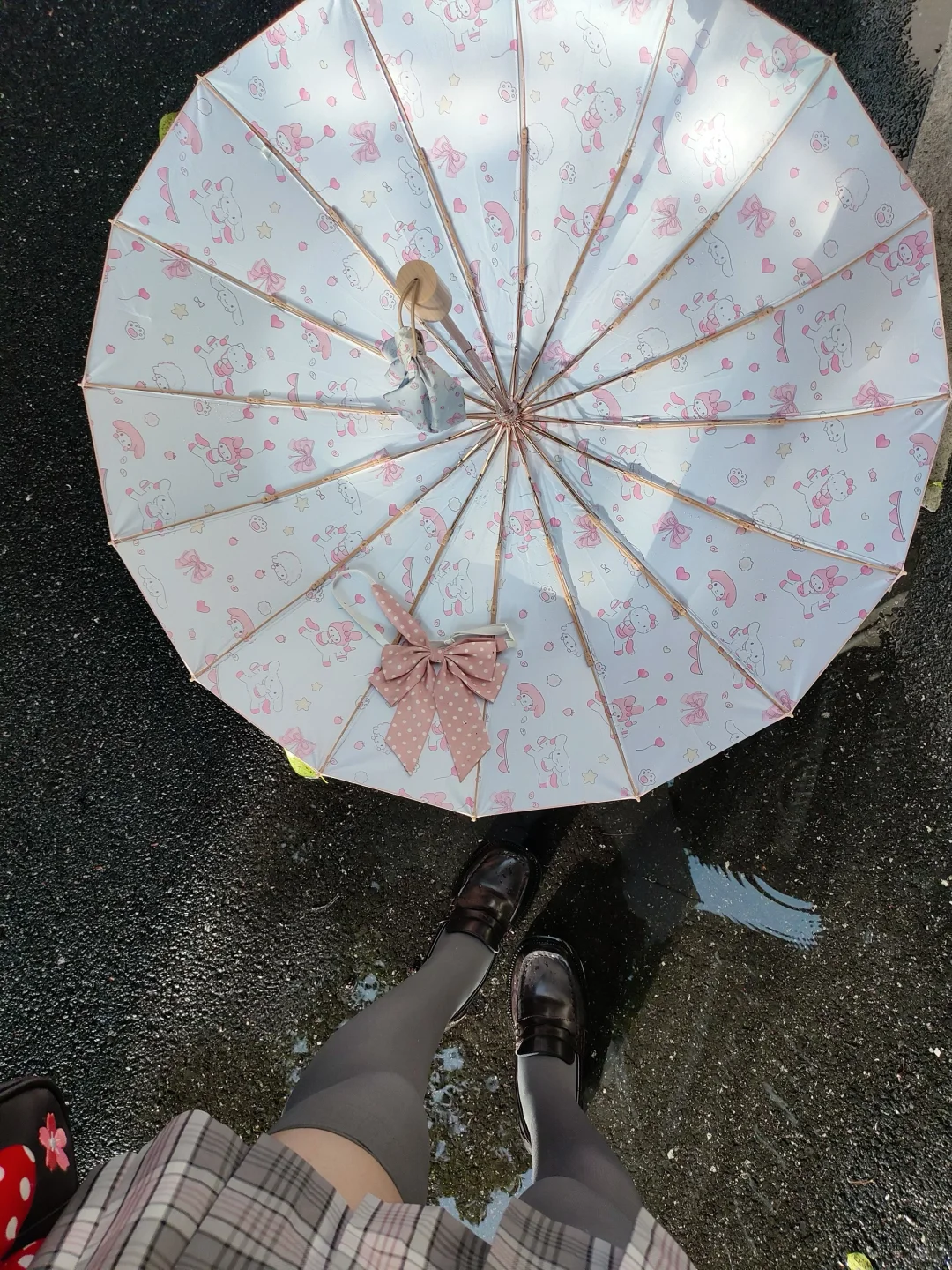 今天穿嘟灰粉🐾
