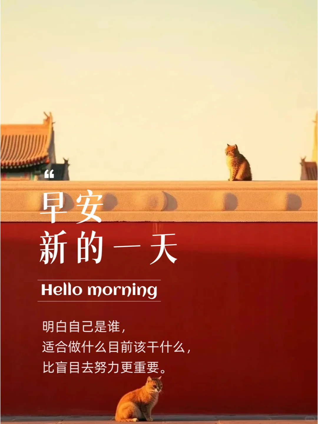 一些闪闪发光的早安文案，每天不重样