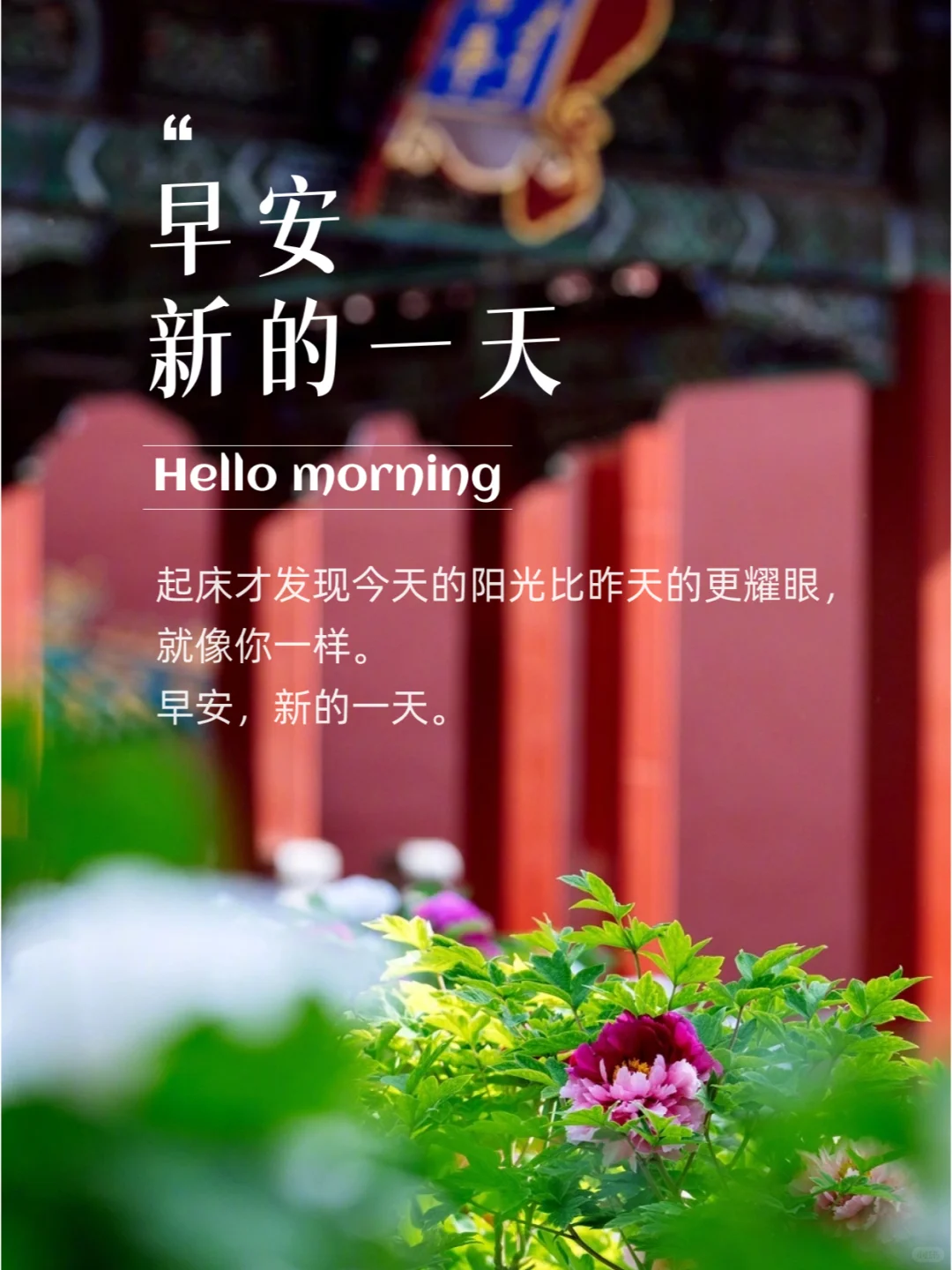 一些闪闪发光的早安文案，每天不重样