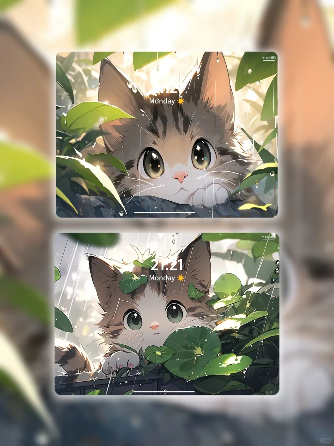 wallpaper｜8K超清全屏电脑平板壁纸