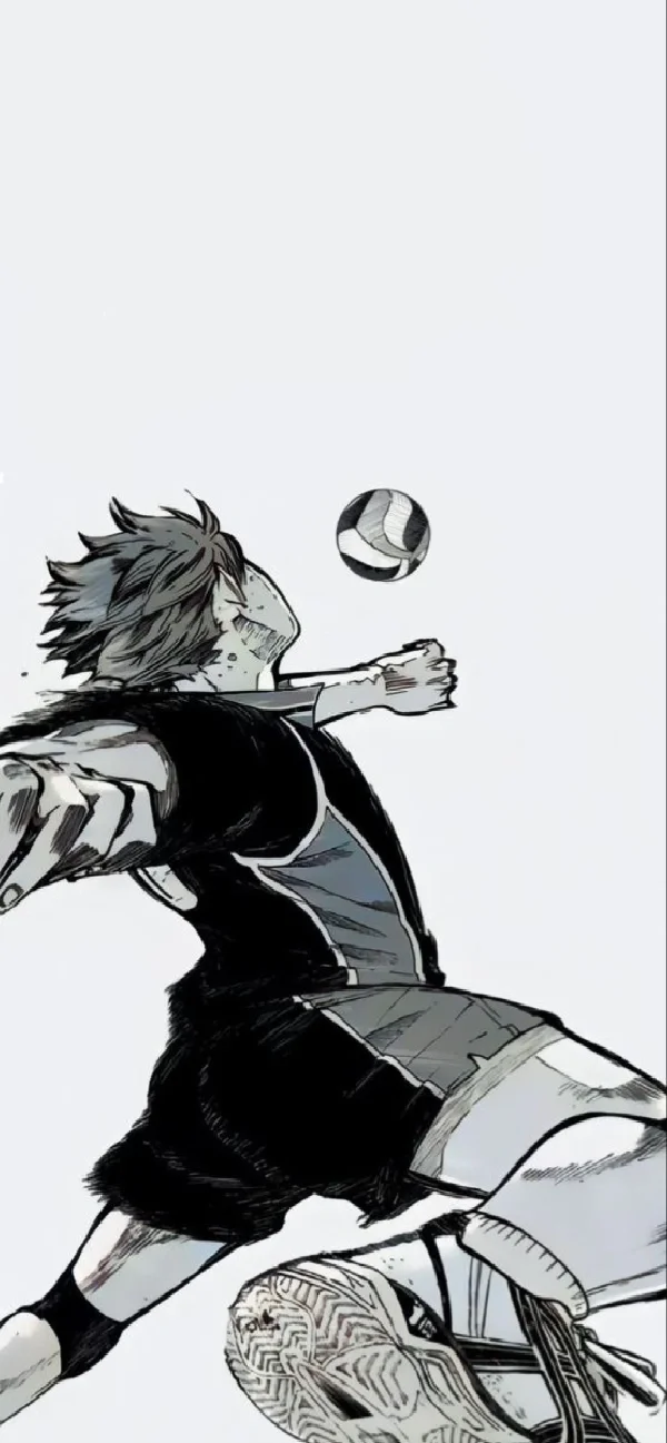 小排球🏐壁纸向你飞来！