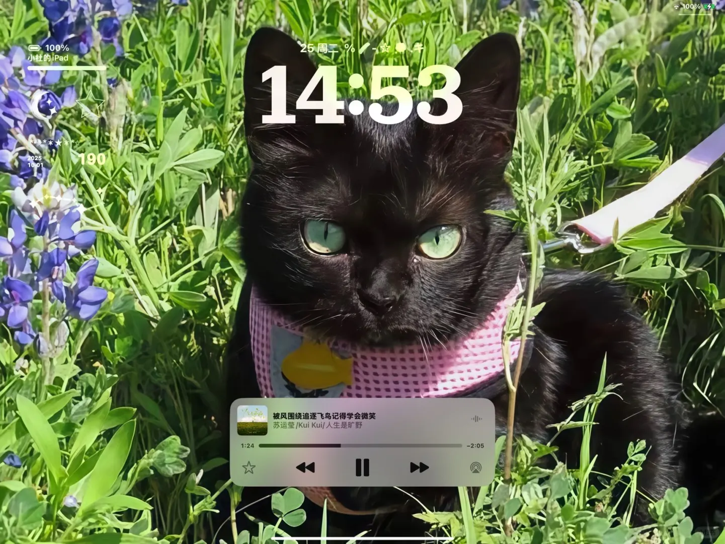iPad，电脑壁纸