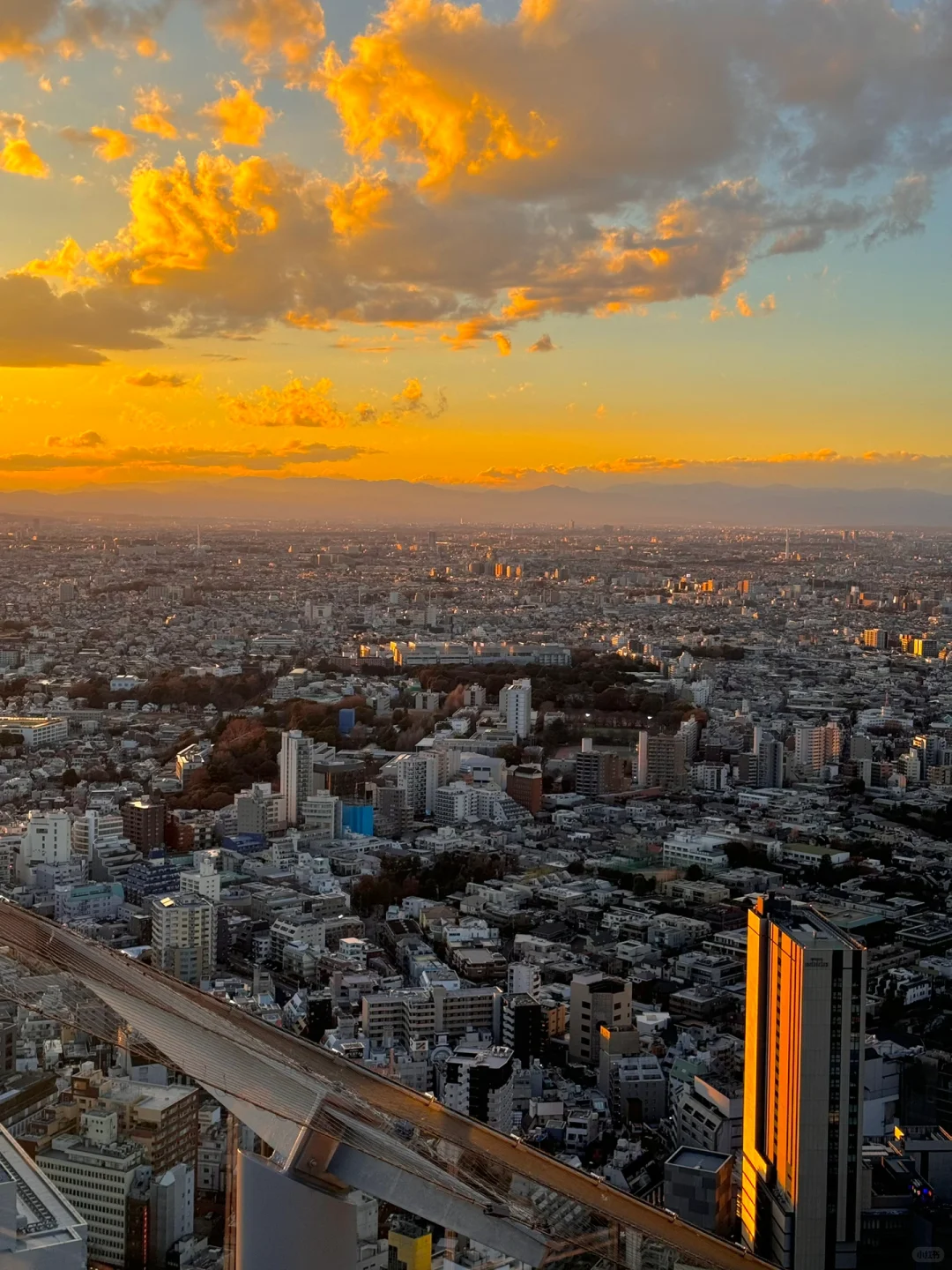 🗼涩谷sky☁️ 美到失语