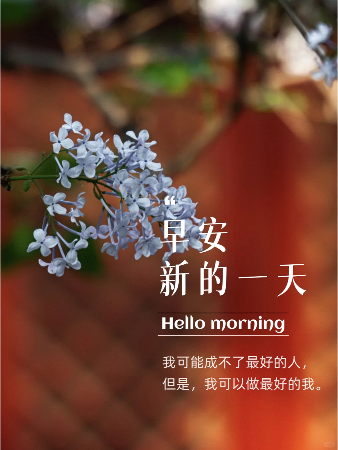 一些闪闪发光的早安文案，每天不重样