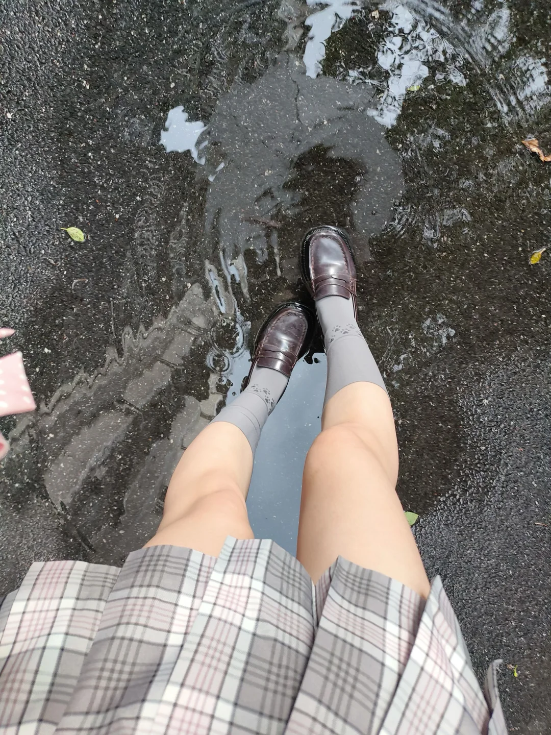 今天穿嘟灰粉🐾