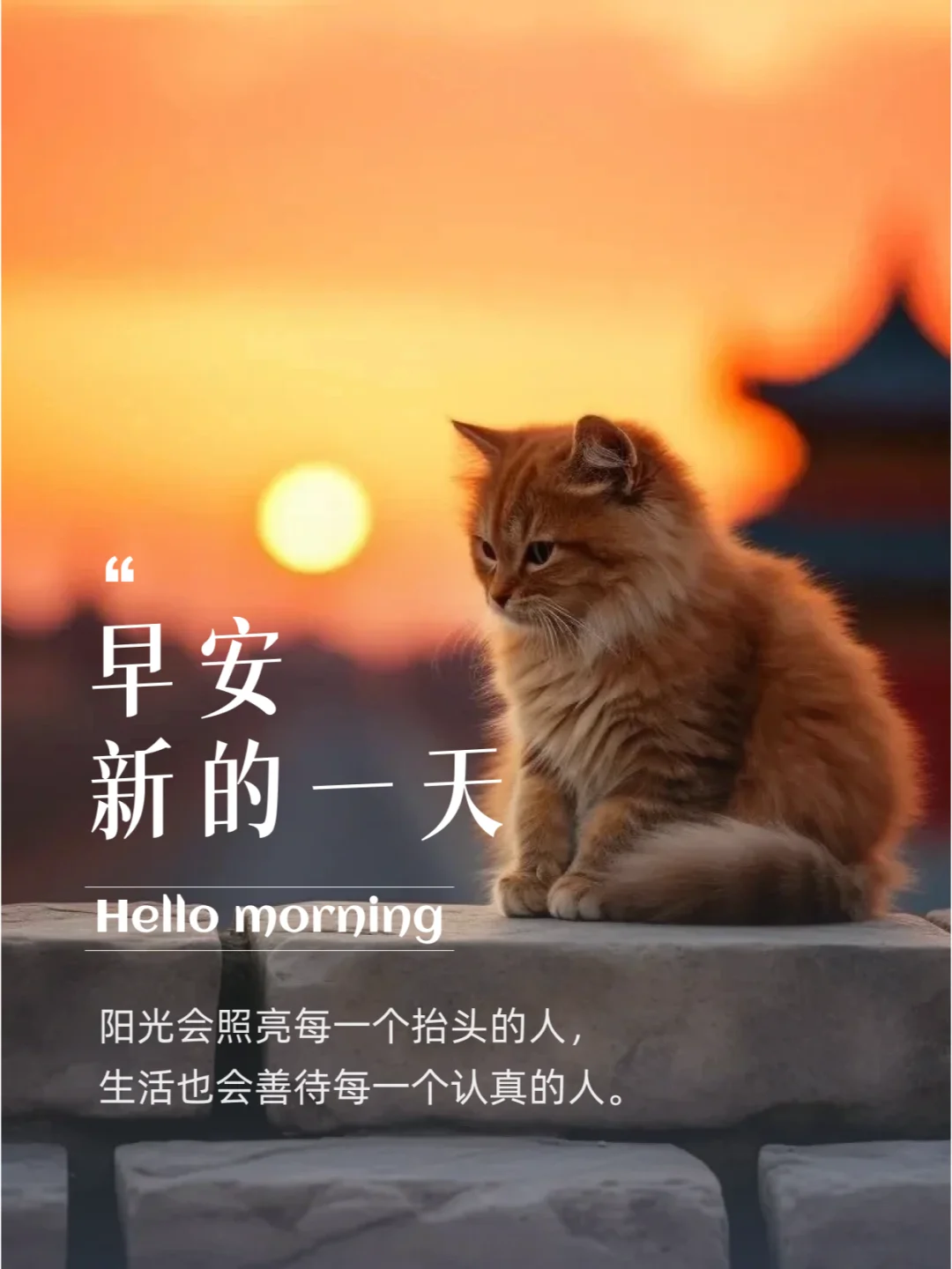 一些闪闪发光的早安文案，每天不重样