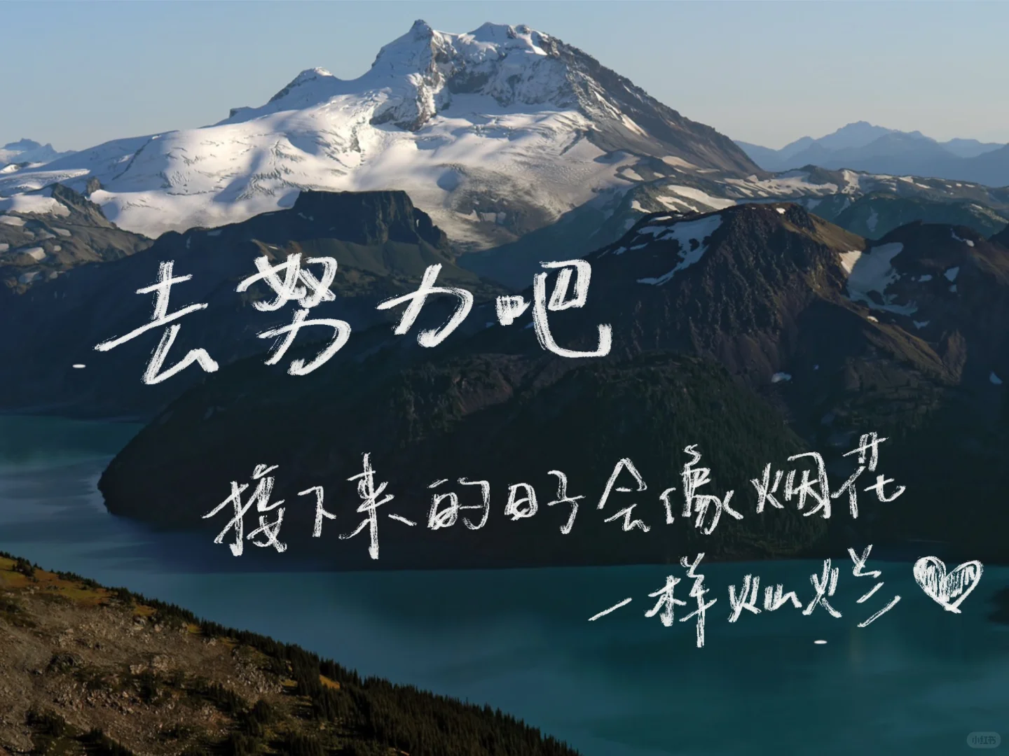 考公党iPad壁纸