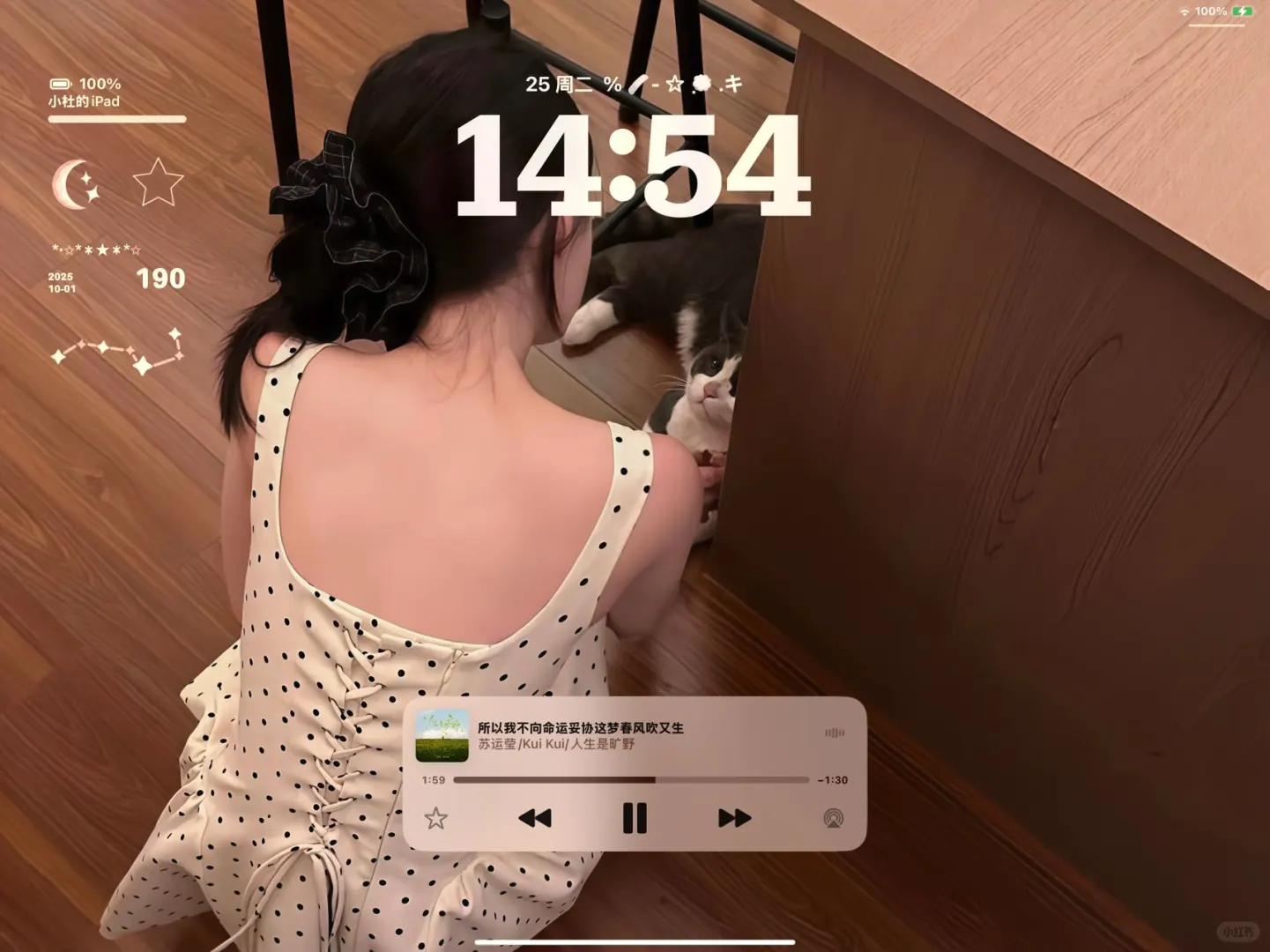 iPad，电脑壁纸