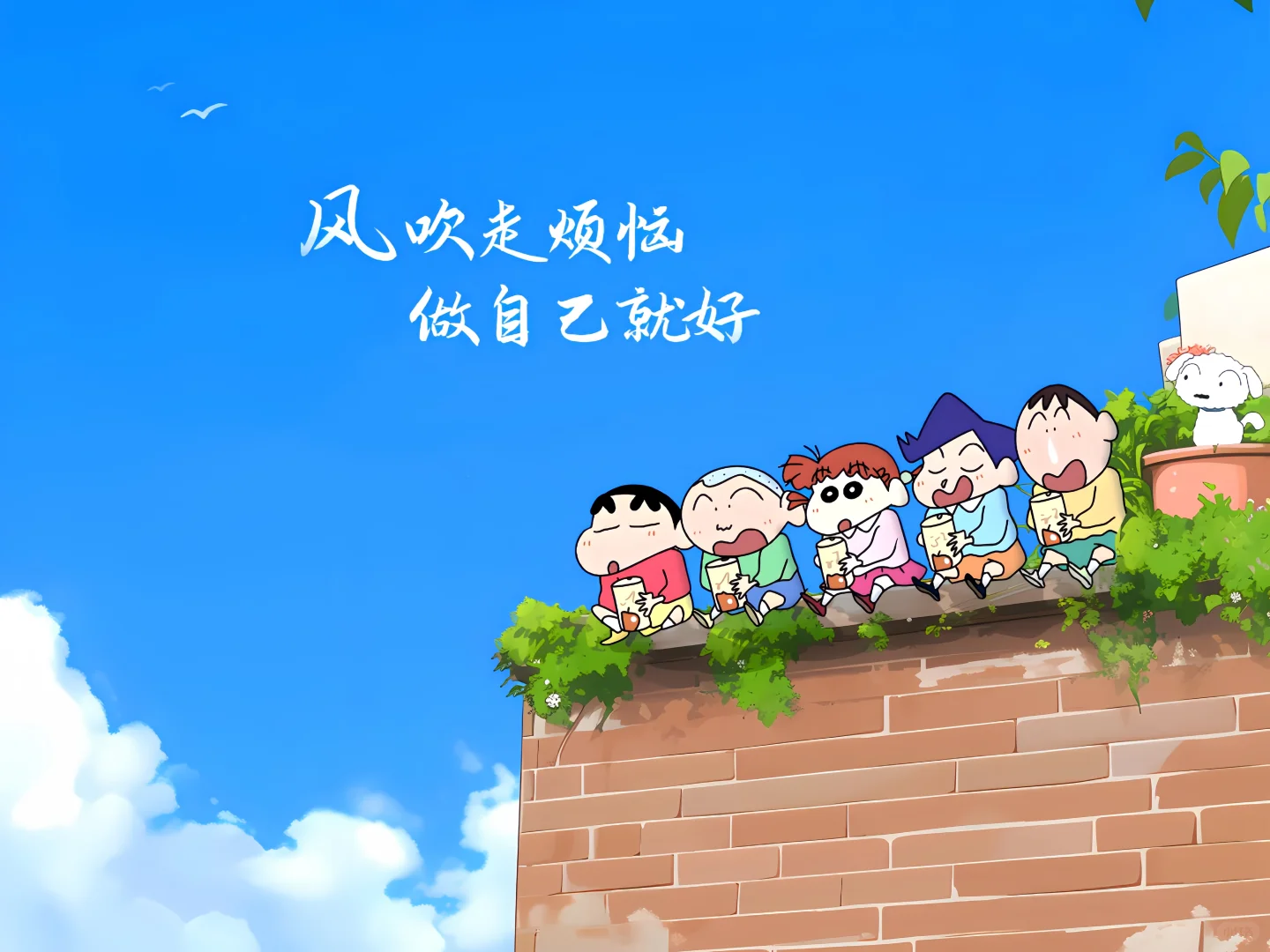 ipad壁纸|小新治愈我了✨