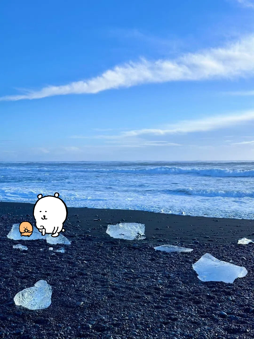 熊….日常摆烂享受生活🌿